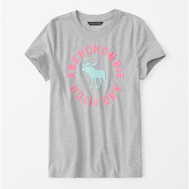 ABERCROMBIE & FITCH HCO  2023夏季新款女生短袖T恤
