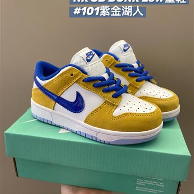 Nike SB低幫雙勾兒童板鞋