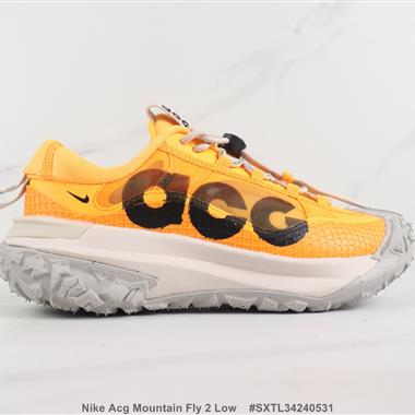 Nike Acg Mountain Fly 2 Low 