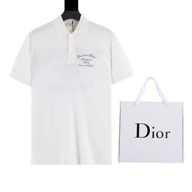 DIOR   2024夏季新款短袖POLO衫  歐規尺寸偏大