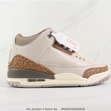 Nike Air Jordan 3 Retro Se