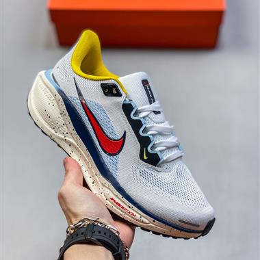  Nike Pegasus 41