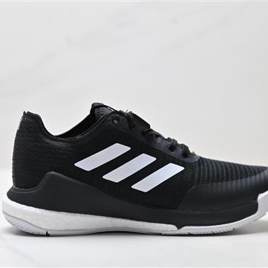 Adidas Crazyflight LOW 低幫輕便透氣排球鞋